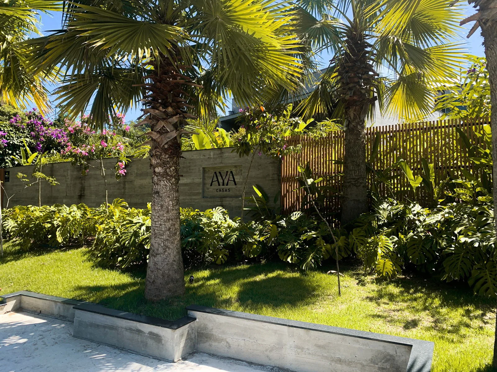 Aya Casas em Balneário Camboriú SC — Foto 1