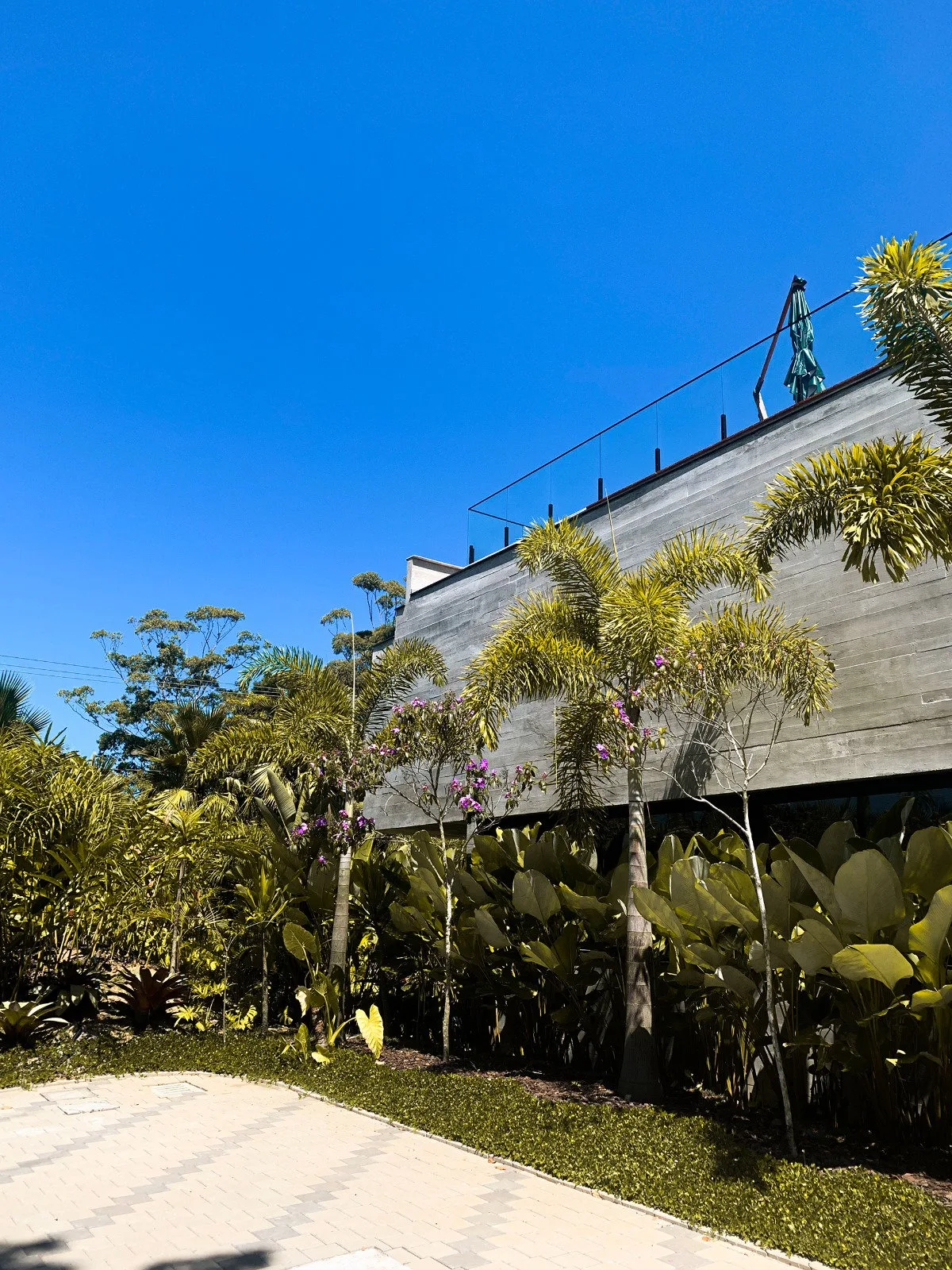 Aya Casas em Balneário Camboriú SC — Foto 5
