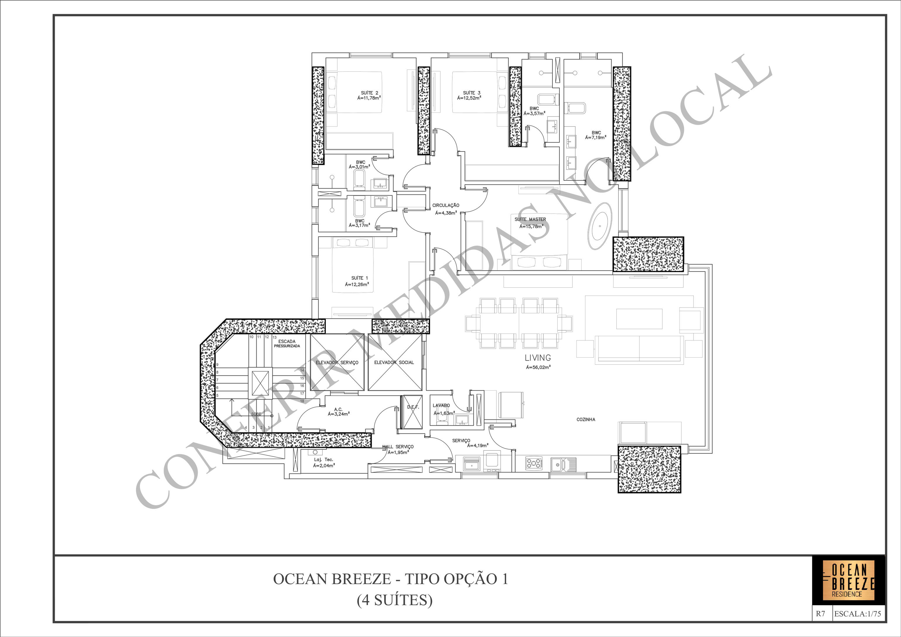 Ocean Breeze - Planta 6