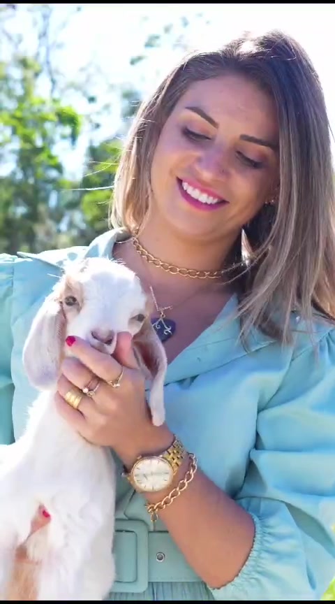 Gralha Azul