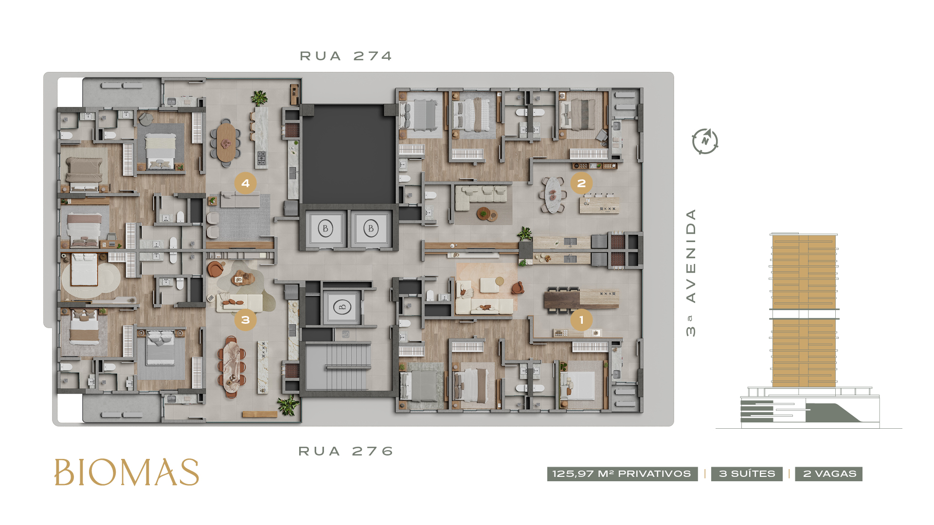 Biomas — Plantas 3