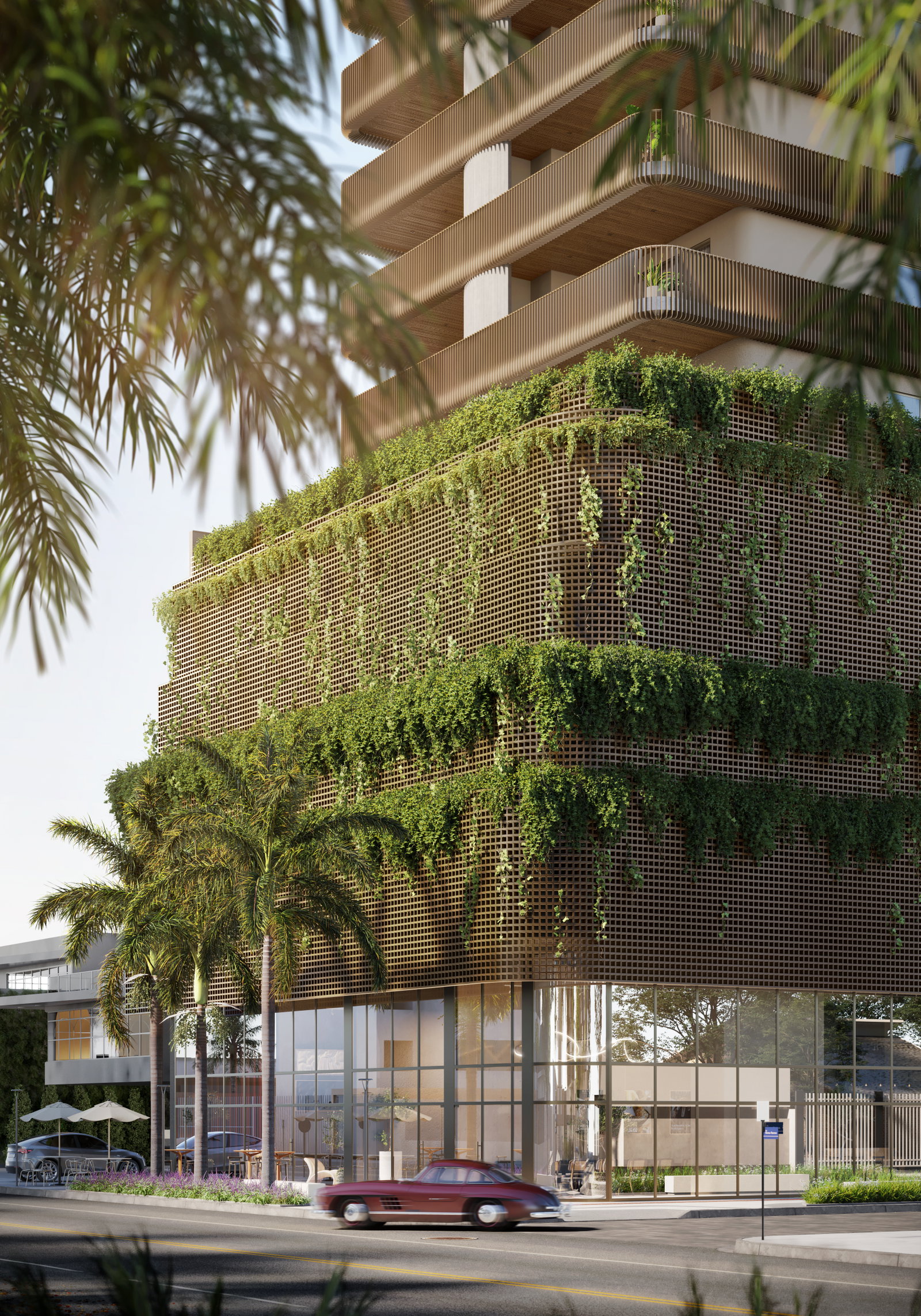 Orgânica — Render 4