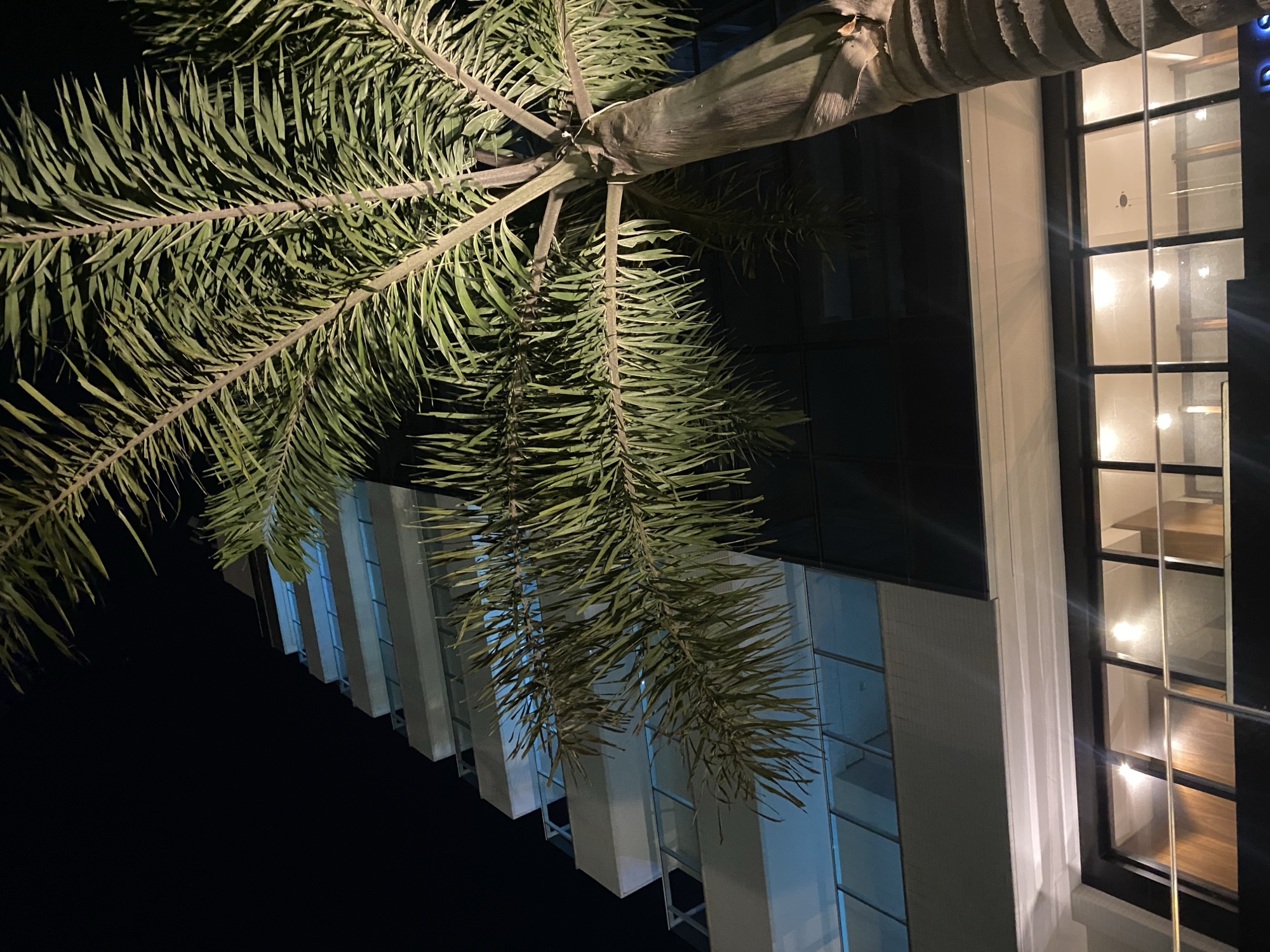 Four Seasons Praia Brava — foto 18