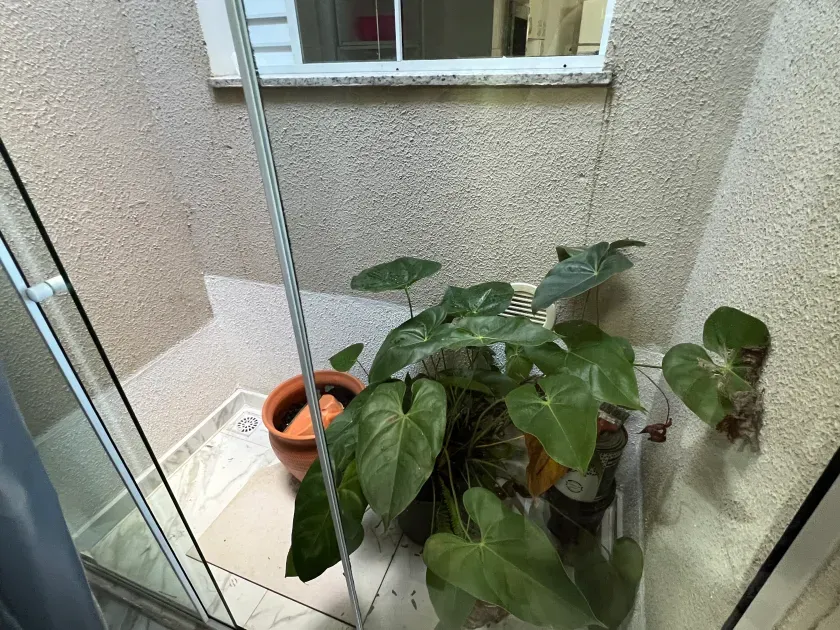 Casa com 5 suítes e 5 vagas na garagem na  Praia dos Amores - Balneário Camboriú/SC — foto 3