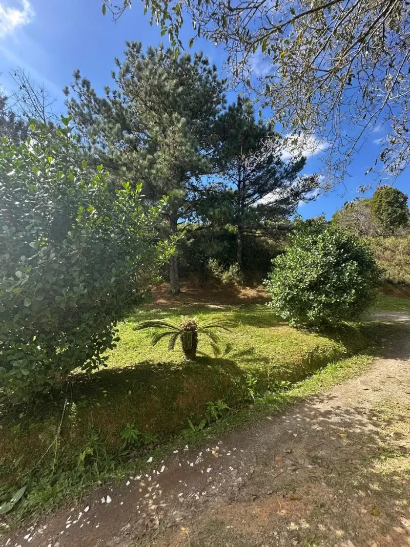 Terreno com aproximadamente 8.500 m² ideal para condomínio de casas, em Balneário Camboriú/SC